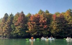 ���������ژ�Ӱ֮�g�����L��������f��