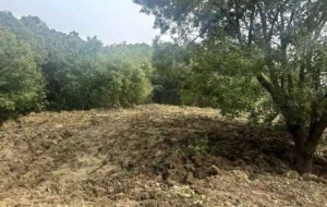 ��ꎣ��ҽ̲�������ĳĳ����������