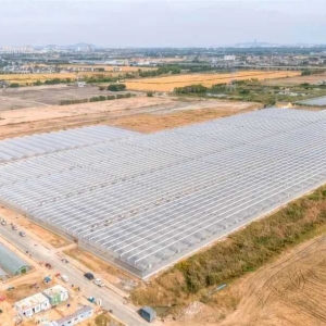 �����߲˻��؁��ˣ����ڽ��