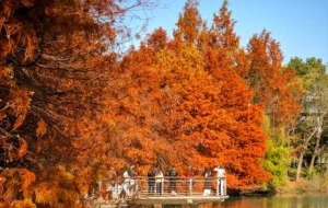 ���֙C�R�^��׽�ĝ���ɫ�ʣ�׌�����箋����k��