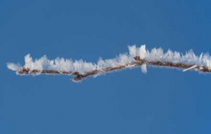 ֱ�_20������Aѩ�S��