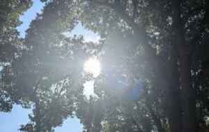 ̧�^����Ҋ�{�죡�ſհl��Ҳ�ǳ��