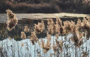 ���쪚�о����JȔ�uҷ���������ڶ���������