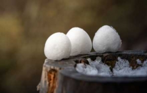 ��ѩ+����������Ӱ푽��