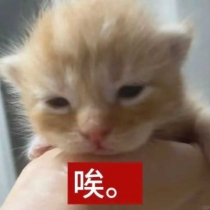 �W(xu��)У�żٟo̎��ȥ�������̫���ˣ�����ȥ�¼����^��