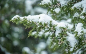 -4�棡��ꎽ�ѩ�r�ζ���