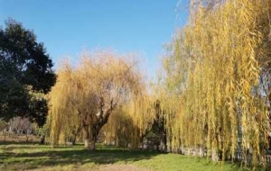 �R�^�µĽ��䣺�䶴�����¾�ɫ��׌�Һ����Ų���_��