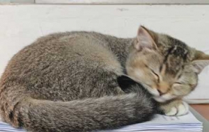 ؈�����Pʺ�ٳɹ�·�ϣ����ġ��O�_ʯ��