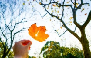 ������ؕr�g���ˣ�