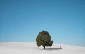 ��������Ҫ���ڣ���������ƽ�����һ��Լ�