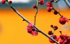 �p÷���ڣ��򿨰��㸡�ӣ��L�������r