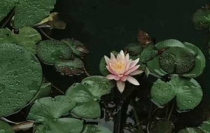 �����S���ģ��L�������R�^��ÿһ���L���������^��