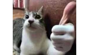 �����յ��ɹP�X��һ�P��K��һ�P���Y����������ͻ��2ǧԪ