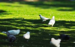 ���ů�������ߜ،��j��21��