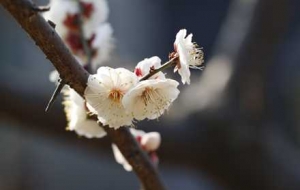 �_����������»�Ӎ