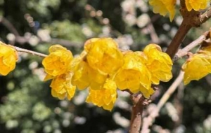 �z����÷������^�p���ѵ����M�@����ǁ�