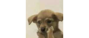 �������@�N�x���}�����Y���p�ɵ��������˾߀�Ƿ�����Ϣ�r�g���̶���ĳȼ�⹫˾