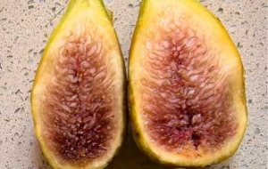 �B��·�ıM�^�ǷN���䣡����ҷN�ğo����������