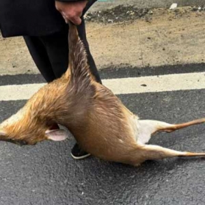 21̖���l24̖�ؼң�����ˢһ�����ϴ��ؾ������^�]����ס��߀�ܿ��r