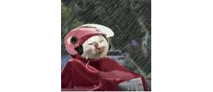 �F�ڵ�����A��ԓ�����С����F�� �� �A������죬�Y��������