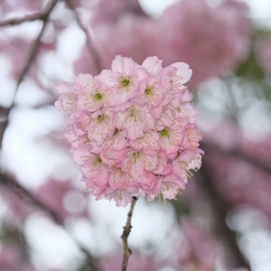 ��ꎾW�t�ѻ����_�ˣ�