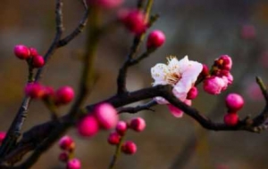 ����÷�@������@��ز�ס��