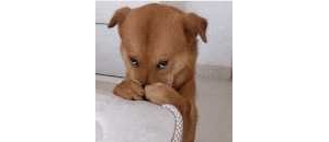 ·��������Ƭ��܇�������ұ�ͣ����߀ͦί����Ҋ�^ɵ�ģ��]Ҋ�^�@ô��ֱ��ѵĶ�ɵ�ӣ�