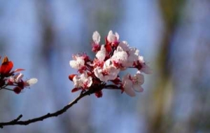 �s�o���l������p�������]