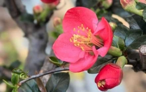 �������ţ��������G���������B�B���¿��T