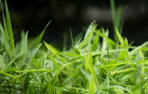 ��ߚ��ֱ�_15�棡����֡�׃Ę��