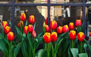 �俵·�߽֣���һ�����ȣ�����̓�ȕr�������