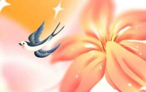 ���g����һ�̴�ů���Ǖr�򿴿�������Щ��Ƭ��ӳ