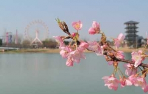 ��ꎴ����޶���΢����ĩ���������һĨЦ�