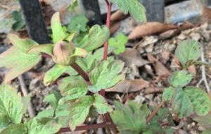 ÿ�쿴��ĵ�����������L��߀��һ���¾��ܿ�����