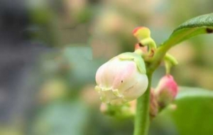 �ĵ��{(l��n)ݮ��������������ǰ�������L(f��ng)��