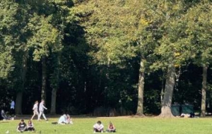 ��ꖶ��������ѓ�������һ�|ꖹ���M����