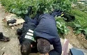 �°l��᪣��@���棬�Мضȣ�