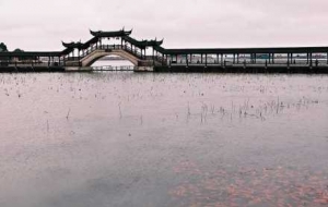 �K��С����患������\�����\Ϫ�Mչ�����L�飡