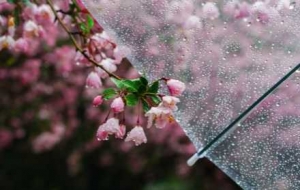 ���������߀�Ѓ�݆��