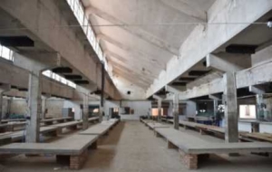 ����@���r�Q�Ј���������������