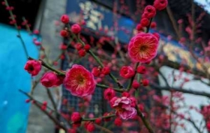 �R̤÷�������S�L�𣡴�����Ȼ����