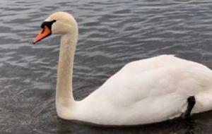 ���м���һ�ǣ��S��ӛ䛣�����̎̎���@ϲ