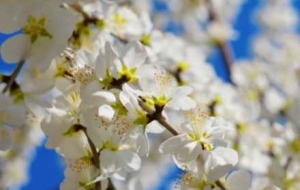 ֱ�_23�棡���D�R�ϵ�