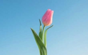 ���R�^��״��죺���M(j��n)�������磬�M�����C(j��)��