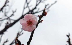 ����p÷�����r����һ���s�������㸡�Ӵ����