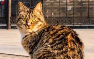 ����һ��ůꖣ�����؈�^������ƣ�v������