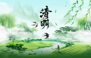 ֱ�_25�棡��ꎼ������������Ϣ