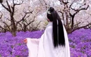 �z�ģ����c����ͬ���@һ�̲���·�^