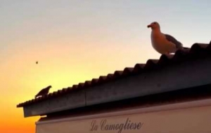 �S�ģ��k����ϼ���L(f��ng)�⣡���tӲ���R�^