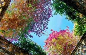 ̧�^�����죺������(zh��ng)���ۣ�һĨ�¾GҲ��(d��ng)��